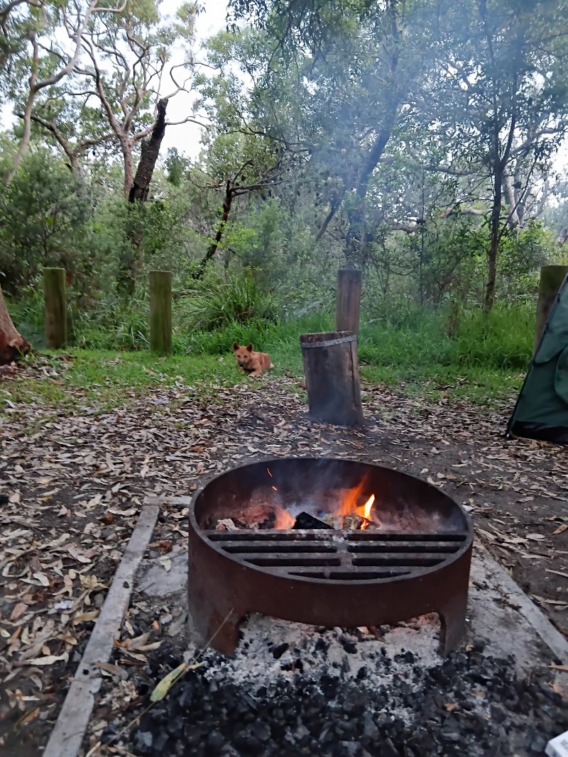 STEWART AND LLOYDS CAMPGROUND BBQ Area