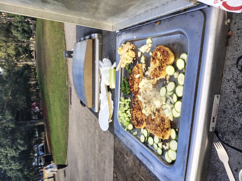 FIG LANE PARK BBQ Area