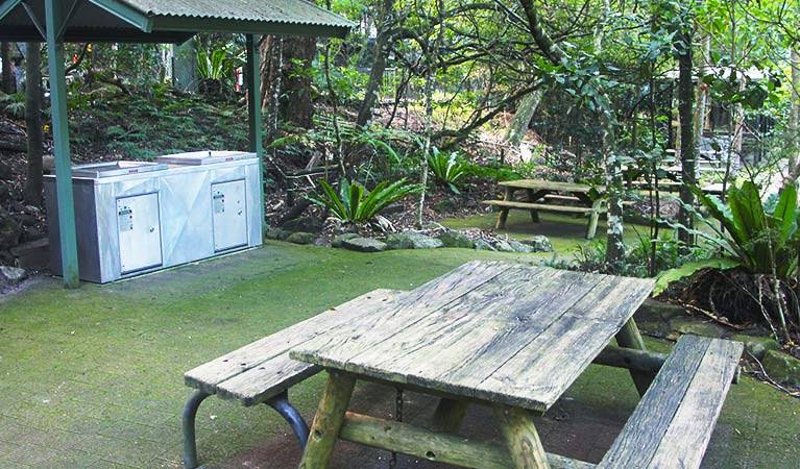 MINNAMURRA RAINFOREST PICNIC AREA BBQ Area
