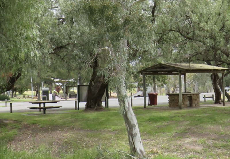 WIMMERA HIGHWAY PLAYGROUND BBQ Area