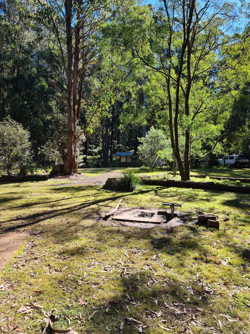 NEW COUNTRY SWAMP CAMPGROUND BBQ Area