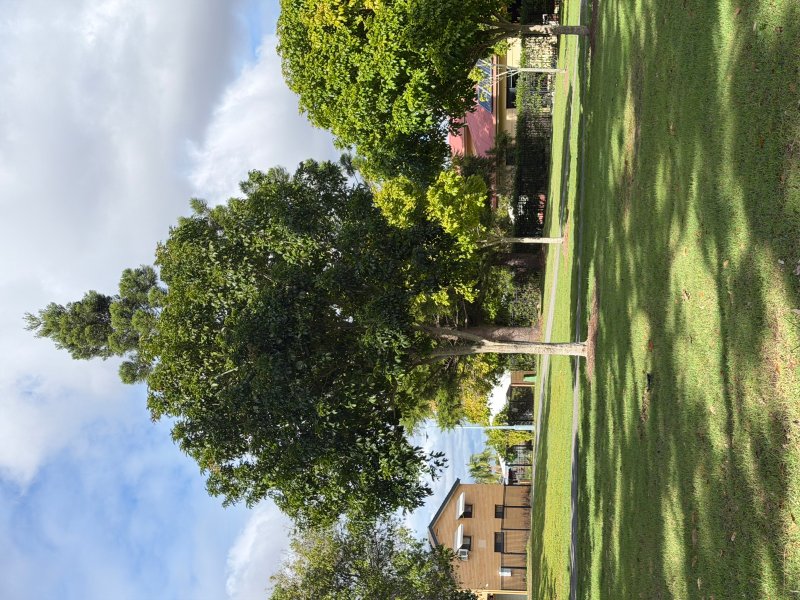 HAYWAL STREET PARK BBQ Area