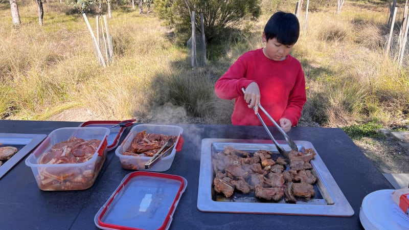 BLAXLAND RIVERSIDE PARK BBQ Area