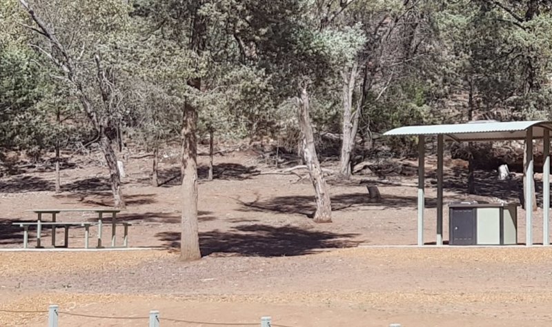 THE PINES PICNIC AREA BBQ Area