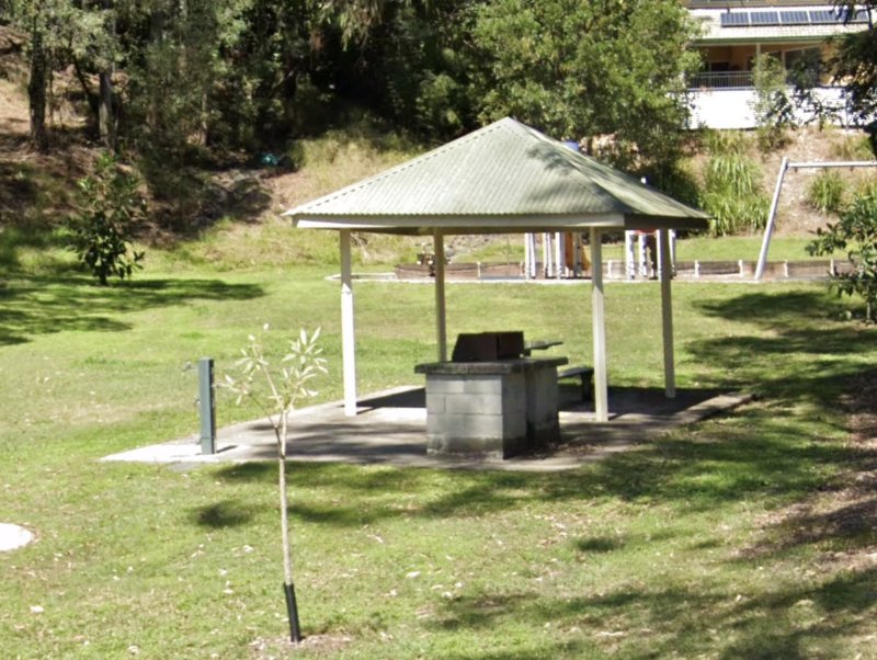 FIG TREE COMMON BBQ Area