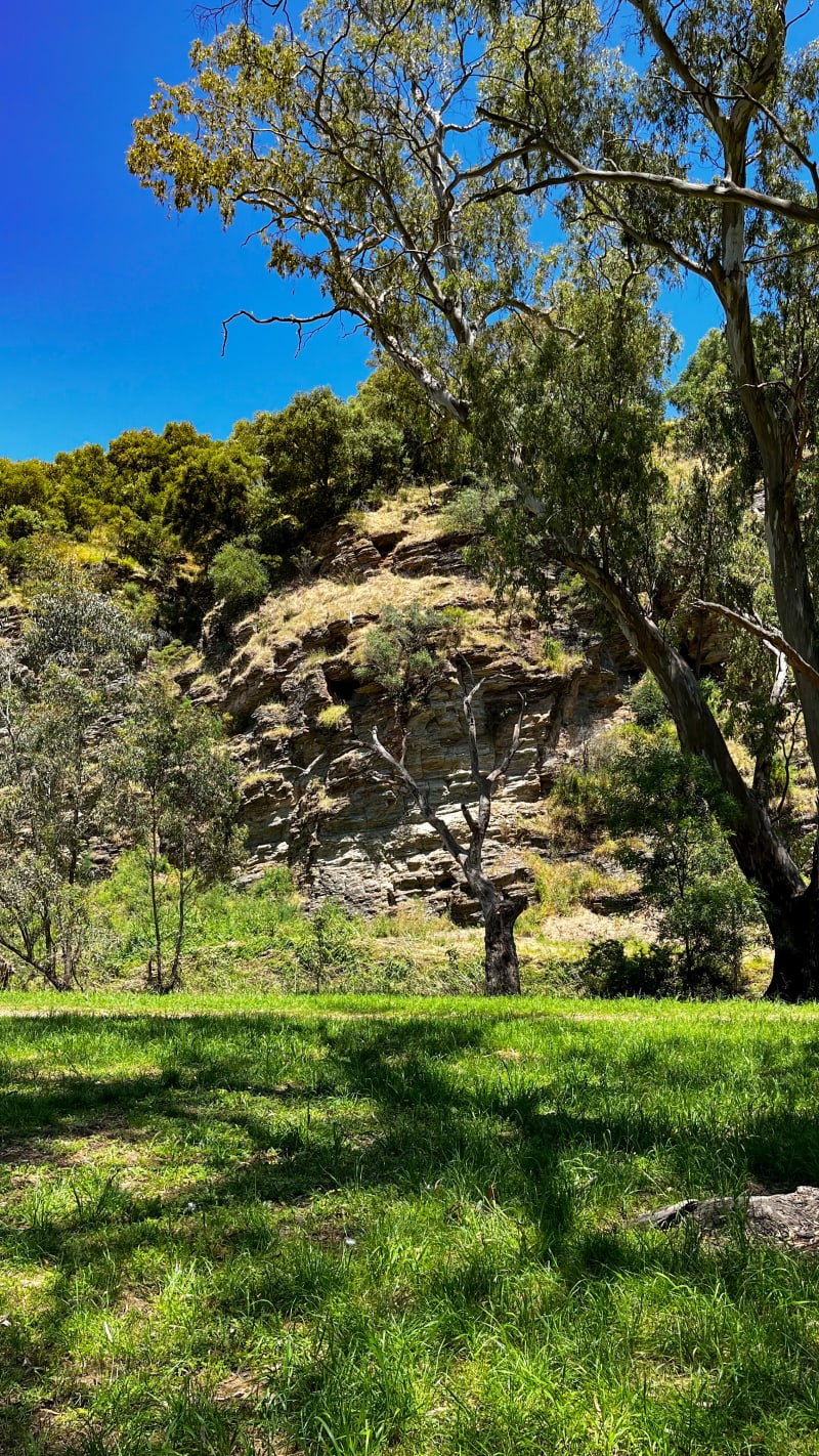 RIVERBEND RESERVE BBQ Area
