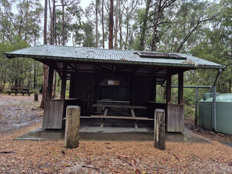 BALD ROCK CAMPGROUND AND PICNIC AREA BBQ Area