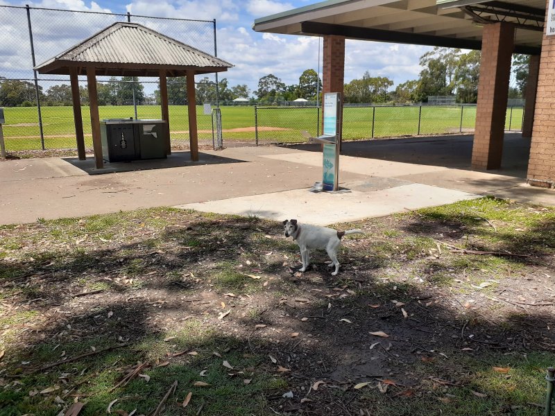 ROFE PARK BBQ Area