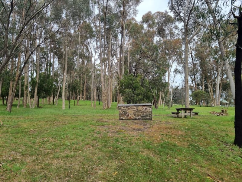 WANNON FALLS SCENIC RESERVE BBQ Area