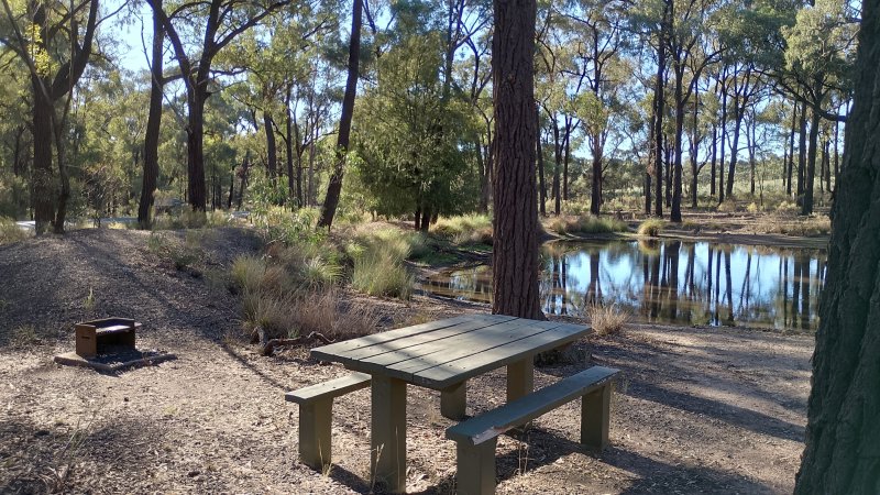 HALF WAY DAM CAMPGROUND BBQ Area