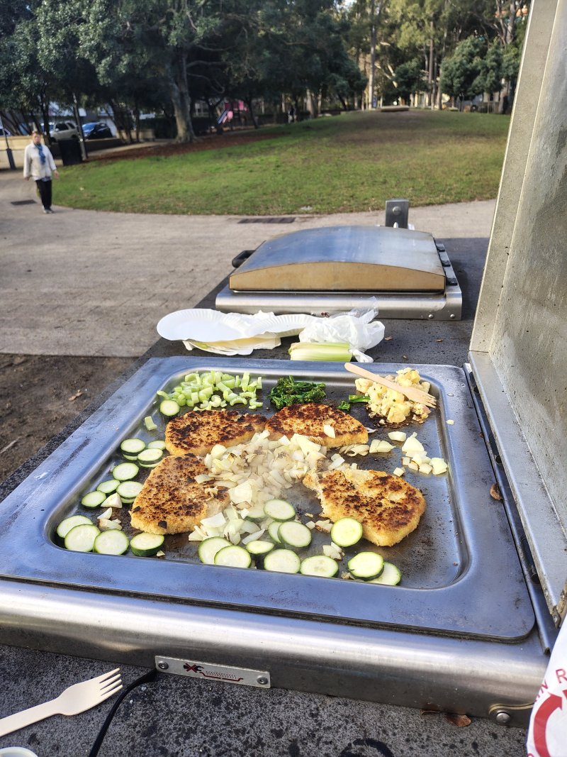FIG LANE PARK BBQ Area