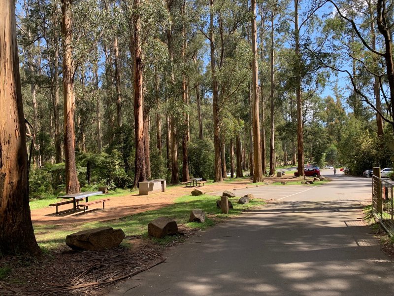 GRANTS PICNIC GROUND BBQ Area