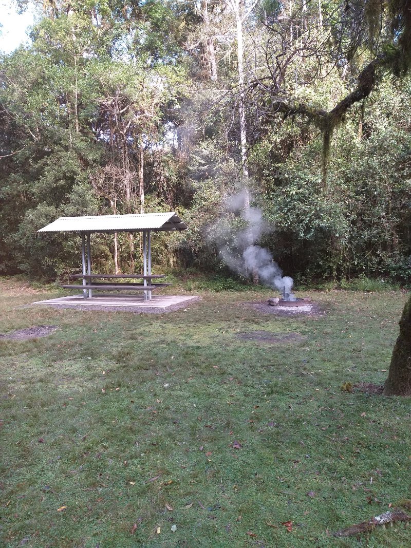 PEACH TREE PICNIC AREA BBQ Area
