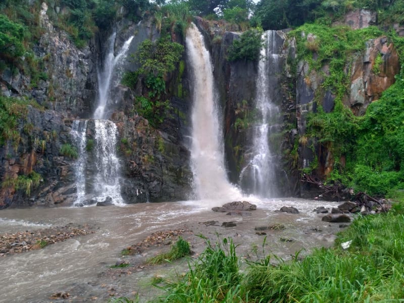 WATERFALL BAY PARK BBQ Area