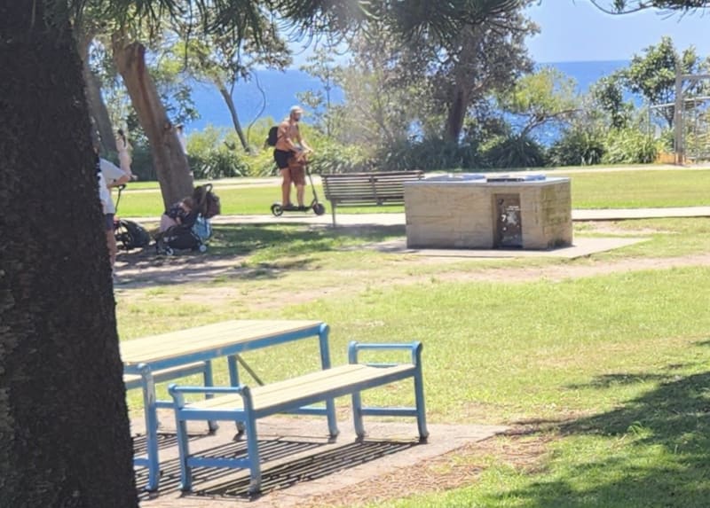 GRANT RESERVE BBQ Area