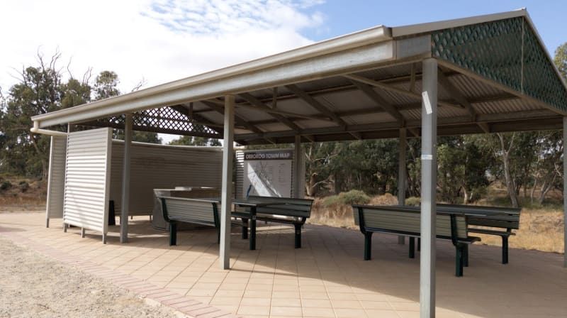 GIANT RED GUM TREE BBQ Area