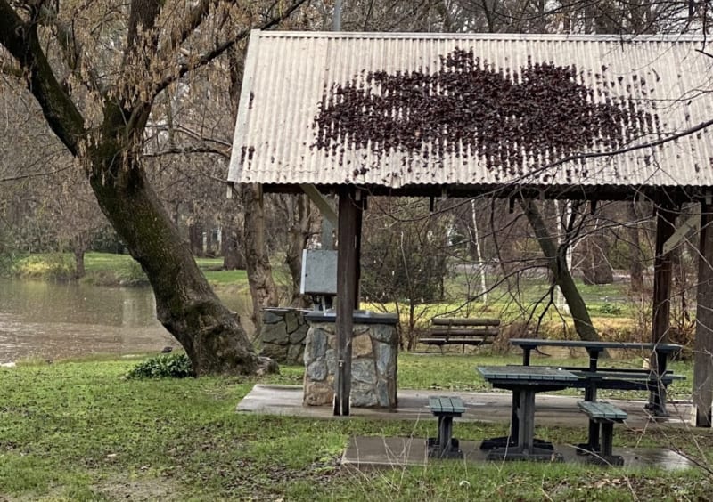 ROTARY PIONEER PARK BBQ Area