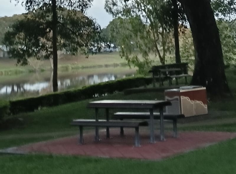 ROSSITER PARK BBQ Area