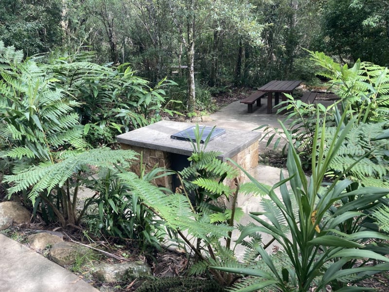 GOOMOOLAHRA PICNIC AREA BBQ Area
