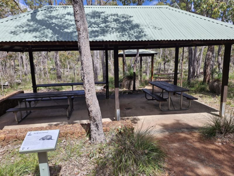 CROOKED BROOK FORREST BBQ Area