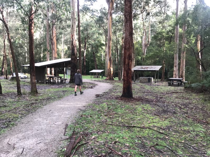 SHEOAK PICNIC AREA BBQ Area