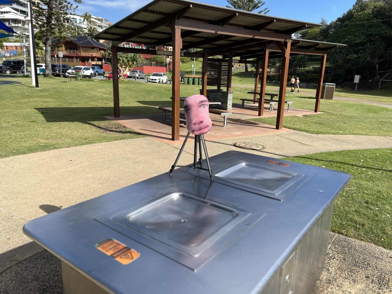Stock photo of Public BBQ in ED HARDY PARK
