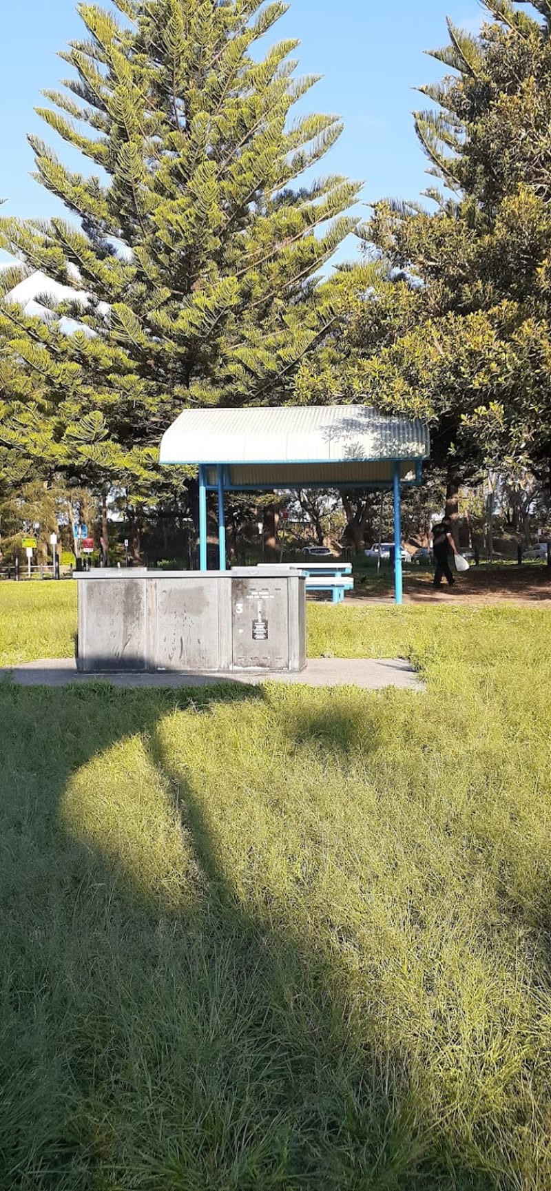 BICENTENNIAL PARK BBQ Area