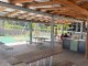 FOREST PARK BBQ