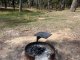 BLAST FURNACE PICNIC AREA BBQ