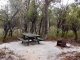 MYSTERY FACE PICNIC AREA BBQ