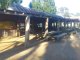 COGS KAMBAH COMMUNITY GARDEN BBQ