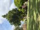 HAYWAL STREET PARK BBQ