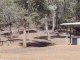 THE PINES PICNIC AREA