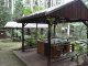 THE PINES PICNIC AREA
